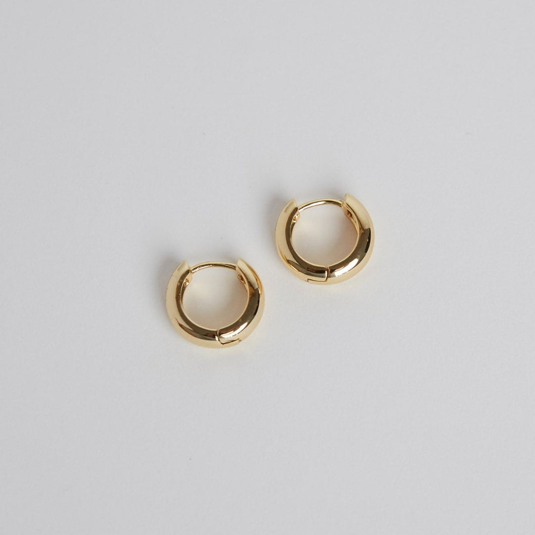 Earrings "Janet Hoops"